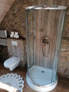 a shower stall in a bathroom with a toilet at Janowa Góra Apartament in Stronie Śląskie