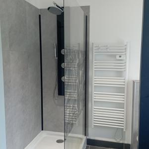 a shower with a glass door in a bathroom at Cottage chaleureux à 25 mn de la côte de granit rose in Bégard