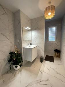 a white bathroom with a sink and a potted plant at Magnifique appartement à la frontière suisse in Saint-Louis