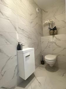 a white bathroom with a toilet and a sink at Magnifique appartement à la frontière suisse in Saint-Louis