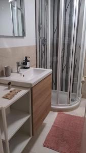 a bathroom with a sink and a shower at BellaFlo: Small apartment in the center of Florence in Florence