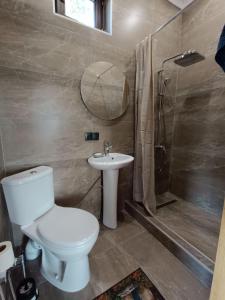 a bathroom with a toilet and a sink and a shower at Янтарь Уютный горный домик in Almaty