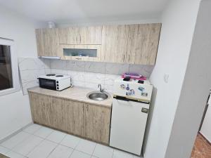 Kuchyň nebo kuchyňský kout v ubytování KUĆA VASILJEVIĆA 064/16 88 141