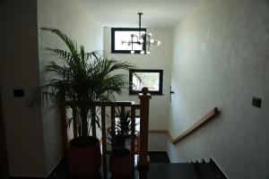 a staircase with two potted plants and a chandelier at BAZ'HUR Boutique Hotel in Kukës