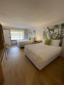 een grote slaapkamer met 2 bedden en een raam bij Newly renovated room in cozy hotel near Disney in Kissimmee