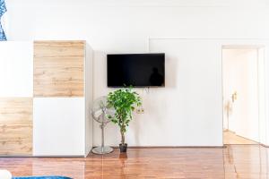 sala de estar con planta y TV en la pared en Elegant Haven: Stylish and Spacious 3BR Apartment en Viena