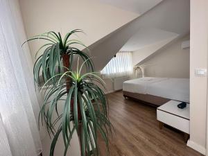 ein Schlafzimmer mit einem Bett und einer Topfpflanze in der Unterkunft 3+2 Dubleks House in Istanbul