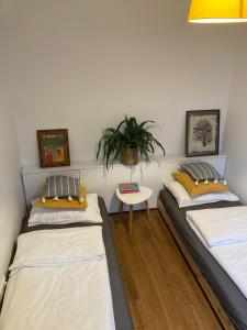 two beds in a room with a table and a plant at Apartment Dzelzavas 19/3 in Rīga