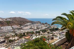 a view of a city with a palm tree at Hilltop Vista Apartment in Puerto Rico de Gran Canaria +39 photos