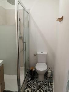 Un baño con inodoro y ducha de cristal. en Studio neuf - accès SPA, SAUNA et Piscine Chauffée, en Saint-Vivien