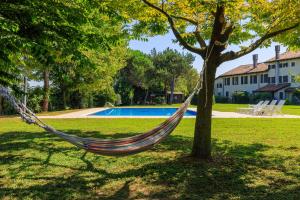 馬爾泰拉戈的住宿－Il Vivaio di Villa Grimani Morosini，悬在泳池旁树上的吊床