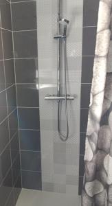 a shower with a shower head in a bathroom at Le Relax in Corgnac-sur-lʼIsle