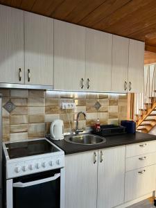 a kitchen with a sink and a stove at Apartman 55 in Kikinda