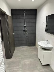 Kúpeľňa v ubytovaní Byt apartman 73m2 Klid příroda Parking FREE