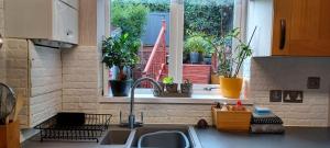 una cocina con fregadero y una ventana con plantas en Cosy Retreat - house with double bedroom en Ripon