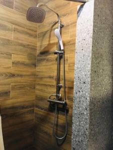 a shower with a shower head in a bathroom at Lux na Druhetiv in Uzhhorod