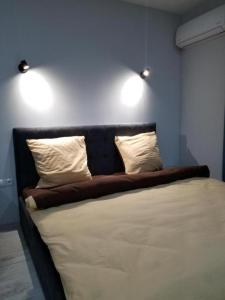 1 cama en una habitación con 2 almohadas en Lux na Druhetiv, en Uzhhorod