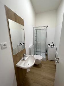 La salle de bains blanche est pourvue d'un lavabo et d'une douche. dans l'établissement Holiday home Prague, à Prague