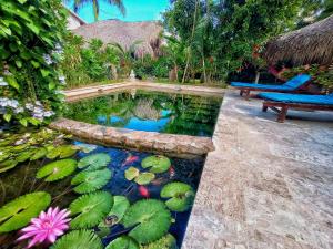 um lago de carpas num jardim com um banco em Dream Glamping Jungle Bohio em Las Terrenas
