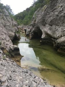 Príroda v okolí privátu