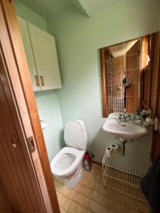 La salle de bains est pourvue de toilettes et d'un lavabo. dans l'établissement Apartment dome Hof í Vatnsdal, à Blönduós