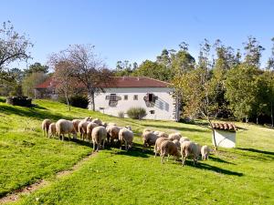 Imagen de la galería de A Pena de Augasantas, en Oca de Abaixo