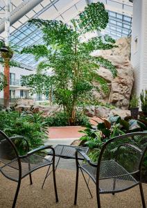 倫敦的住宿－萊姆布萊特爾旅館及會議中心貝斯特韋斯特PLUS酒店，花园内摆放着两把椅子和一张桌子