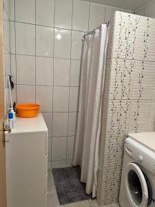 ein Badezimmer mit einer Waschmaschine und einem Duschvorhang in der Unterkunft Apartment Sunny day in Livno