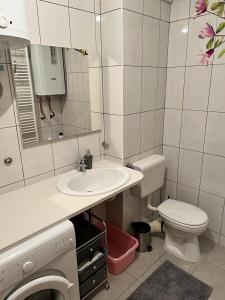 ein Badezimmer mit einem Waschbecken, einem WC und einer Waschmaschine in der Unterkunft Apartment Sunny day in Livno