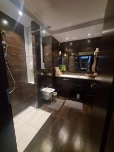 a bathroom with a shower and a toilet and a mirror at Warta LUX Apartment, self check-in 24h, free parking in Poznań