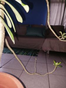 a rope on the floor in front of a couch at Bora Rent lodge in Bora Bora