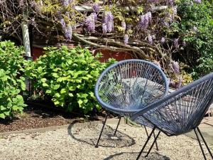 two blue benches in a garden with purple flowers at Zolder appartement Le Grenier in Dilsen-Stokkem