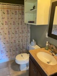 une salle de bain avec toilettes et lavabo dans l'établissement Blueberry Cottage Lake Champlain, à Plattsburgh