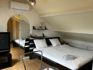 a bedroom with a large bed and a mirror at Room in Oss in Oss