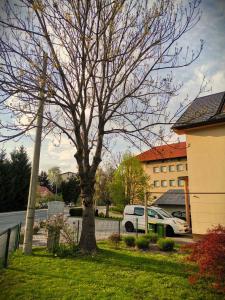Zahrada ubytování apartma Vila TARA