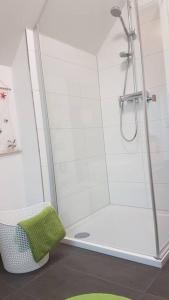 a bathroom with a shower with a green rug at Gemütliche Gäste-/Messewohnung 350 m. zur S-Bahn in Röthenbach an der Pegnitz