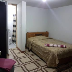 阿雷基帕的住宿－Casa a 10 min del centro y 15 min de Perumin，一间卧室设有一张床和一间浴室。