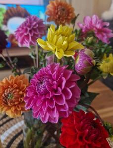 eine Glasvase gefüllt mit bunten Blumen auf einem Tisch in der Unterkunft Karibu in Tiefenthal