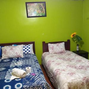 2 Betten in einem Zimmer mit grünen Wänden in der Unterkunft Downtown in Quito
