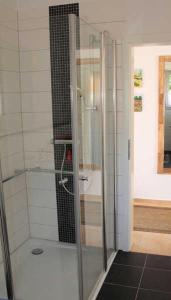 La salle de bains est pourvue d'une douche avec une porte en verre. dans l'établissement Ferienhaus Frieda, à Sagard