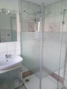 een badkamer met een glazen douche en een wastafel bij Ferienwohnung Dorn in Polchow