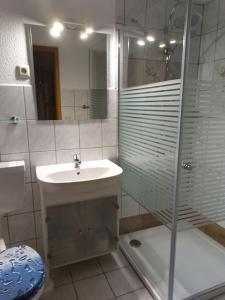 a bathroom with a glass shower and a sink at Ferienwohnung Dorn in Polchow