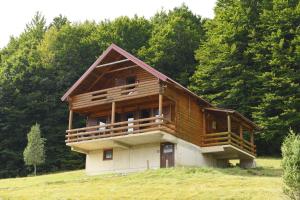 a large wooden house on a hill with trees at Villa Forestside in Pluzine