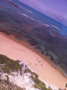 uma vista aérea de uma praia e do oceano em Pousada Imperador do Espelho em Praia do Espelho
