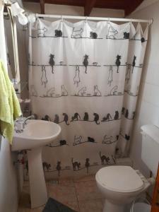 baño con cortina de ducha con un gato en un estante en Alquileres patagonicos en San Carlos de Bariloche