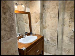 uma casa de banho com um lavatório e um espelho em Chez ALYS - Appartement Sarlat em Sarlat-la-Canéda