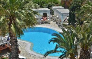 a swimming pool in a resort with palm trees at Zephyros in Paraga