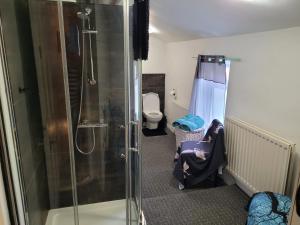 a bathroom with a shower and a toilet at No 35 Guisborough - 2 bedroom house in Guisborough +38 photos