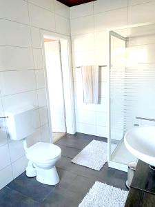 y baño con aseo y lavamanos. en 3 bedrooms appartement with terrace and wifi at Lorsch, en Lorsch