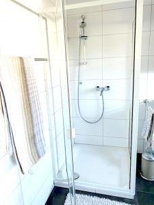 y baño con ducha y puerta de cristal. en 3 bedrooms appartement with terrace and wifi at Lorsch, en Lorsch